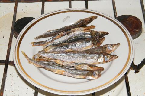 На Камчатке открылся сезон подлёдной рыбалки на корюшку