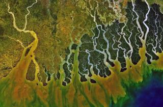 Оседание земли в дельтах рек увеличивает риск наводнений — Nature
