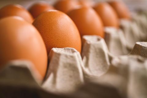 Яйца для детей: как избежать аллергий и сальмонеллёза?