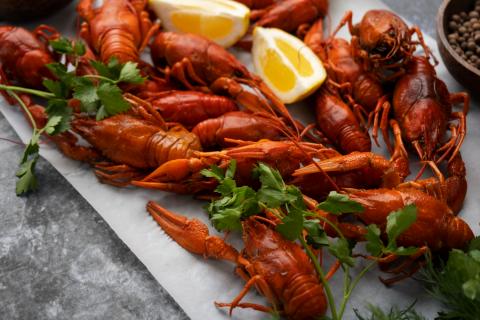 Раковый суп за полчаса — вкус приморского побережья дома