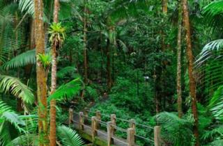 Китайские учёные рассчитали вклад болот в удержание углерода