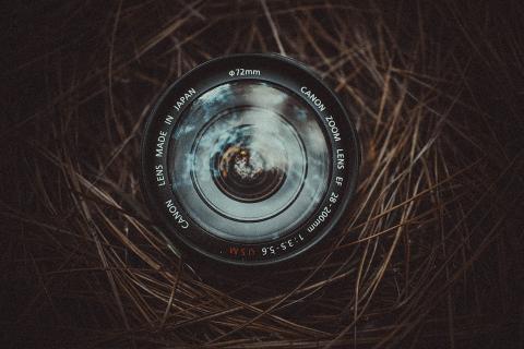 Что делает снимок живым — признаки фотографии с внутренним присутствием
